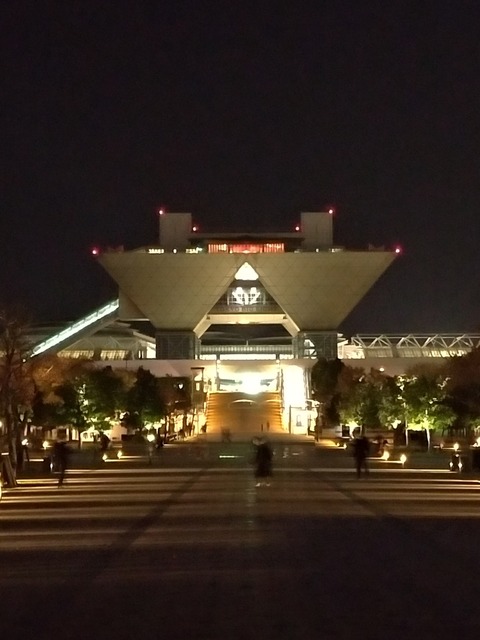 P_20191121_183013_vHDR_Auto