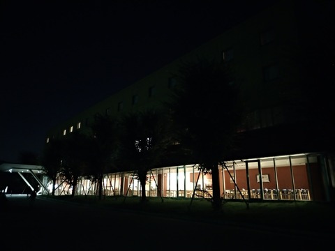 P_20180809_213731_vHDR_Auto