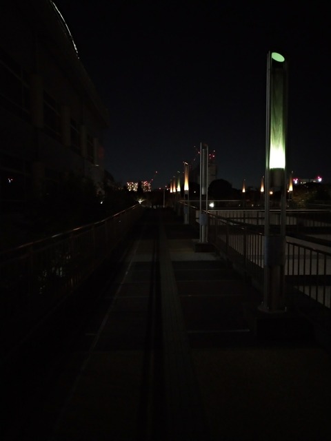 P_20181115_215238_vHDR_Auto