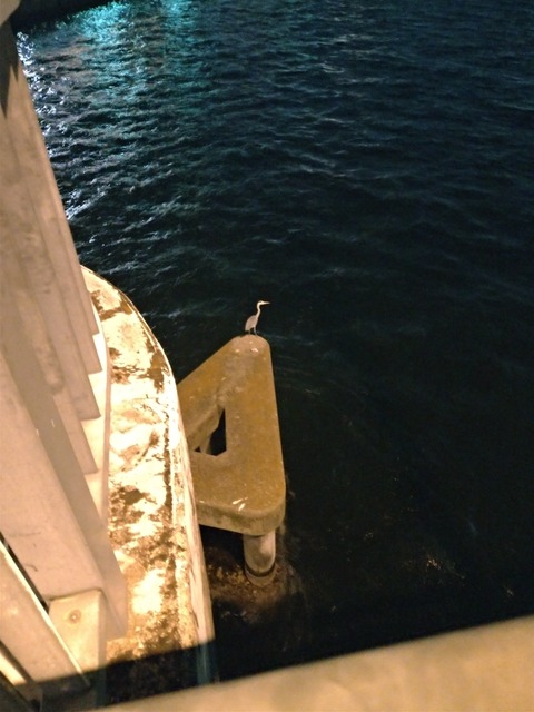 P_20191114_192315_vHDR_Auto