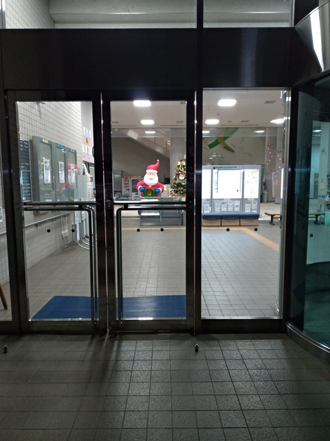 P_20191212_202452_vHDR_Auto