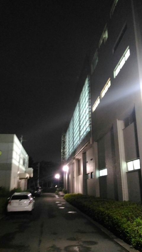 [画像:7bd33855-s.jpg]