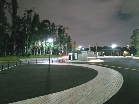 P_20191113_215053_vHDR_Auto