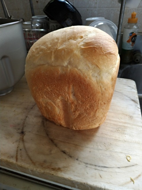 P_20180429_080237_vHDR_Auto