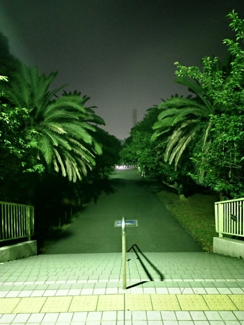 P_20180802_213744_vHDR_On