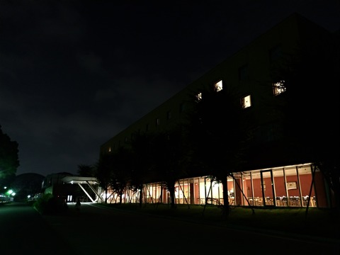 P_20180803_210438_vHDR_On