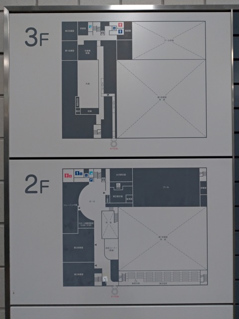 P_20191204_205104_vHDR_Auto